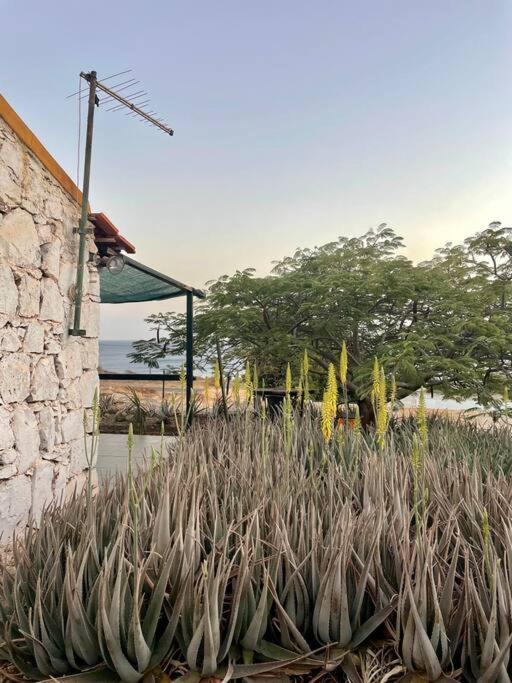Casa Aloe Vera - Private House W/ Free Breakfast Cidade Velha ภายนอก รูปภาพ